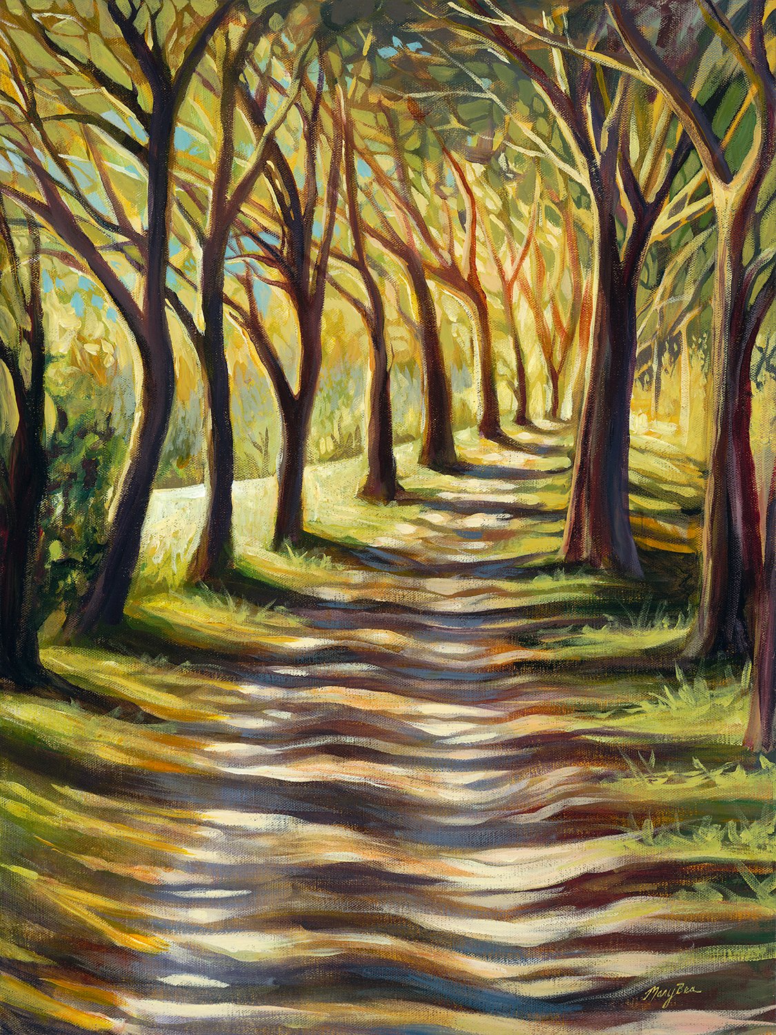 "Sunlit Trail" Notecard