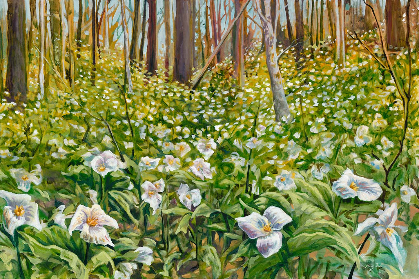 Trillium' Giclée Canvas Reproduction