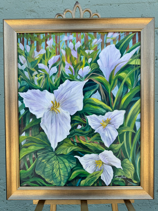 "Trillium Treasure" 16x20 Framed Original