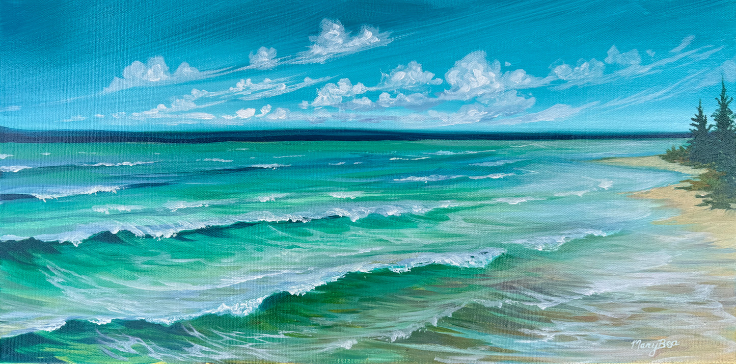 "Waves on the Point" 10x20 Original