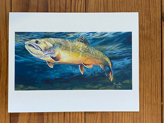 "Brook Trout" Notecard
