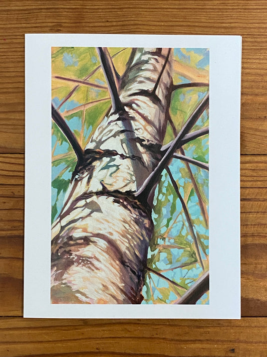 "Spring Birch" Notecard