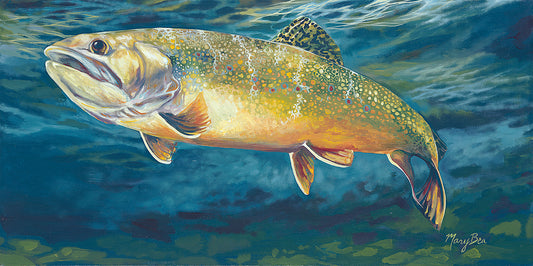 'Brook Trout' Giclee Canvas Reproduction